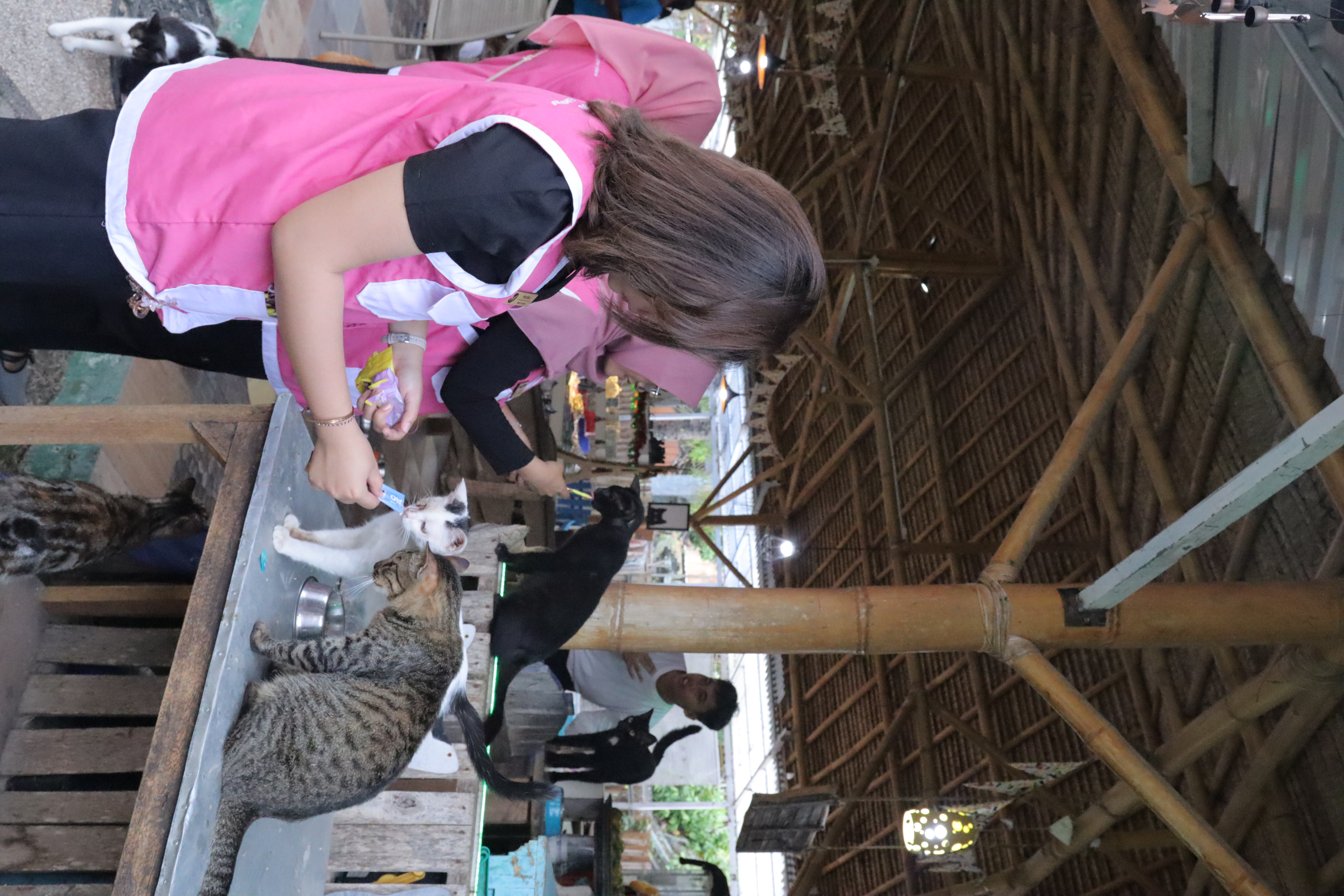 Paws Of Hope : Harapan bagi Sahabat Berbulu
